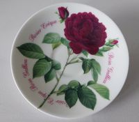 Roy Kirkham Jumbo - Untertasse,Rosa Gallica 2006 (Versailles) TOP Niedersachsen - Wulfsen Vorschau