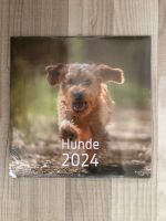 Hunde 2024 Kalender Saarland - St. Ingbert Vorschau