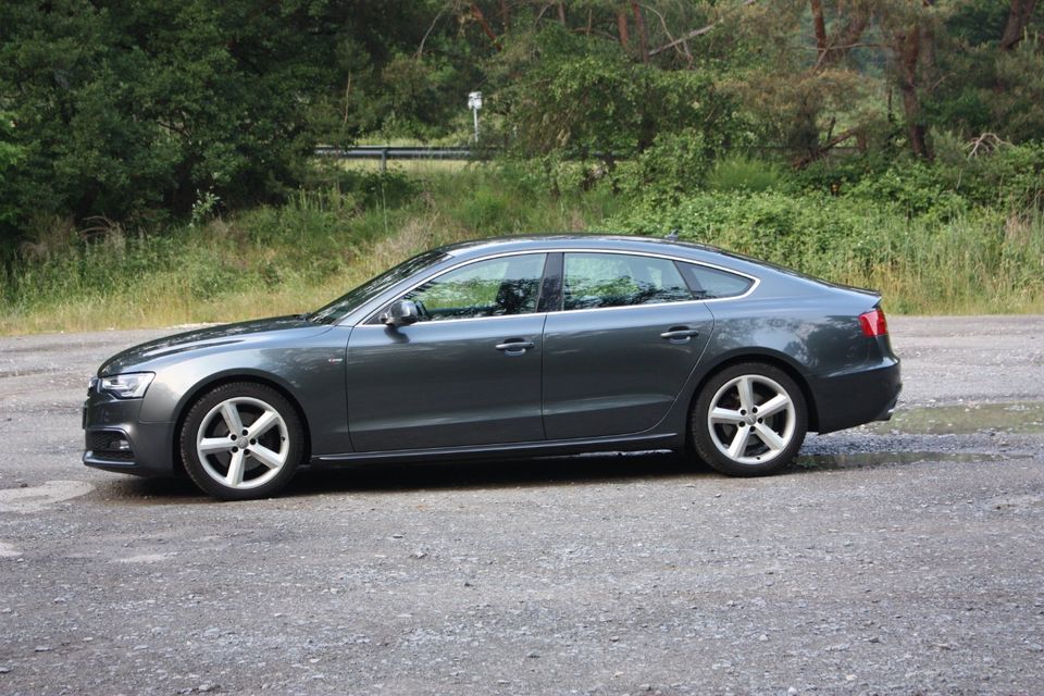 Audi A5 3.0 TDI Sportback (clean die.) quat. DPF S tro. in Siegburg