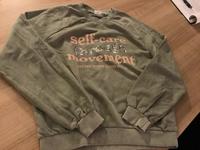 NEU S.Oliver Sweatshirt Pullover olive 176 Niedersachsen - Vechta Vorschau