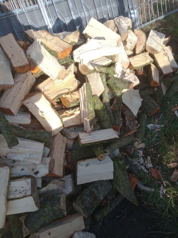 Brennholz, Laubholz, gesägt und gespalten, Esche und Erle in Ganderkesee