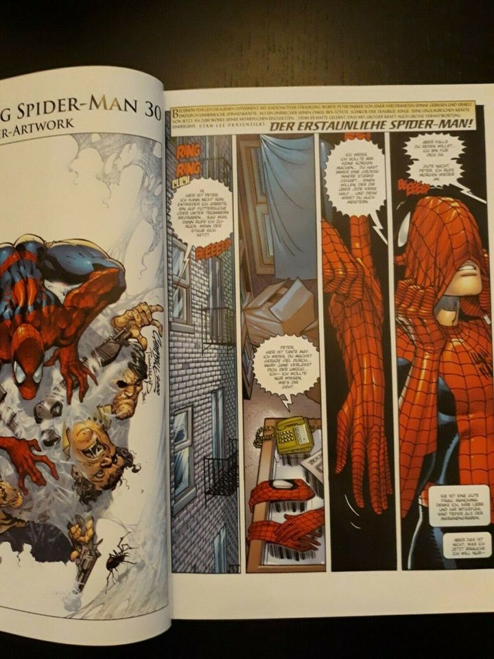 Comic  Buch Spider- Man in Möser