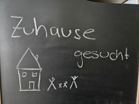 Suchen mind. 4 Zimmer Wohnung/Haus (miete/kauf)  in/um Huglfing Bayern - Murnau am Staffelsee Vorschau