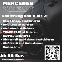 Mercedes Codierung AMG Menü Ludwigsvorstadt-Isarvorstadt - Isarvorstadt Vorschau