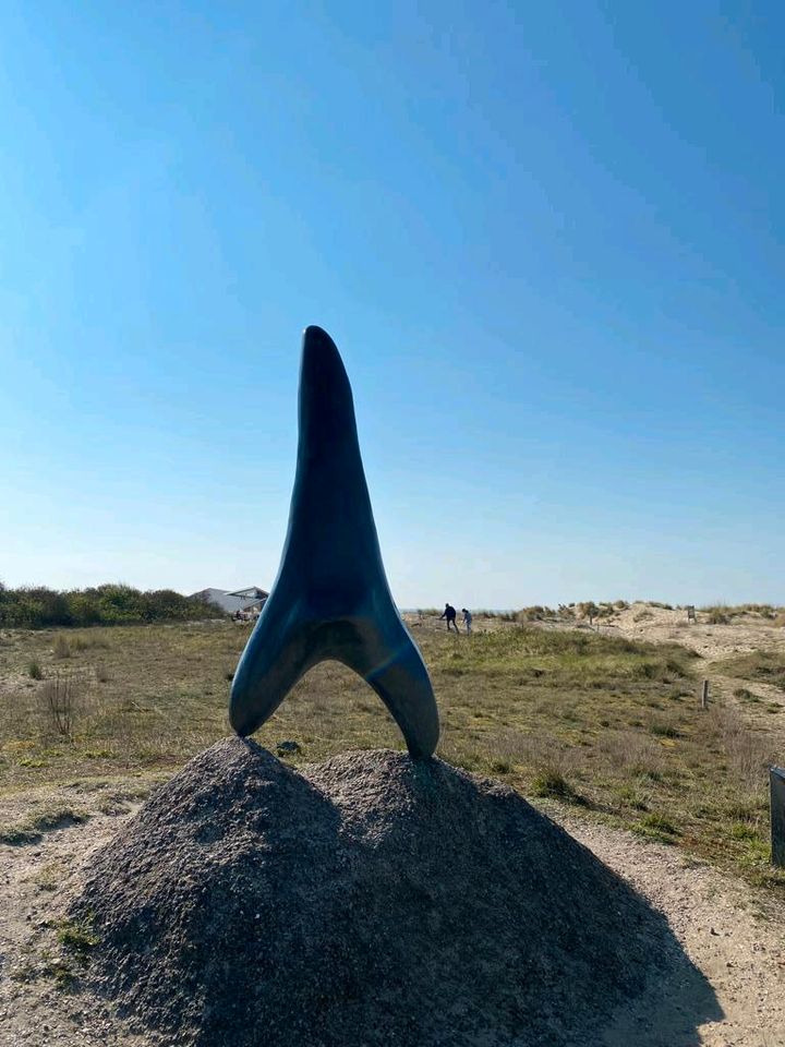 Holland, Südholland,  Cadzand - Urlaub an der Nordsee in Dormagen