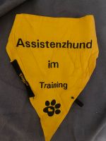 Assistenzhund und Ausbildung Halstuch Nordrhein-Westfalen - Velen Vorschau