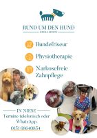 Hundesalon - Hundefriseur - Zahnpflege - Physiotherapie - Hund Nordrhein-Westfalen - Lügde Vorschau