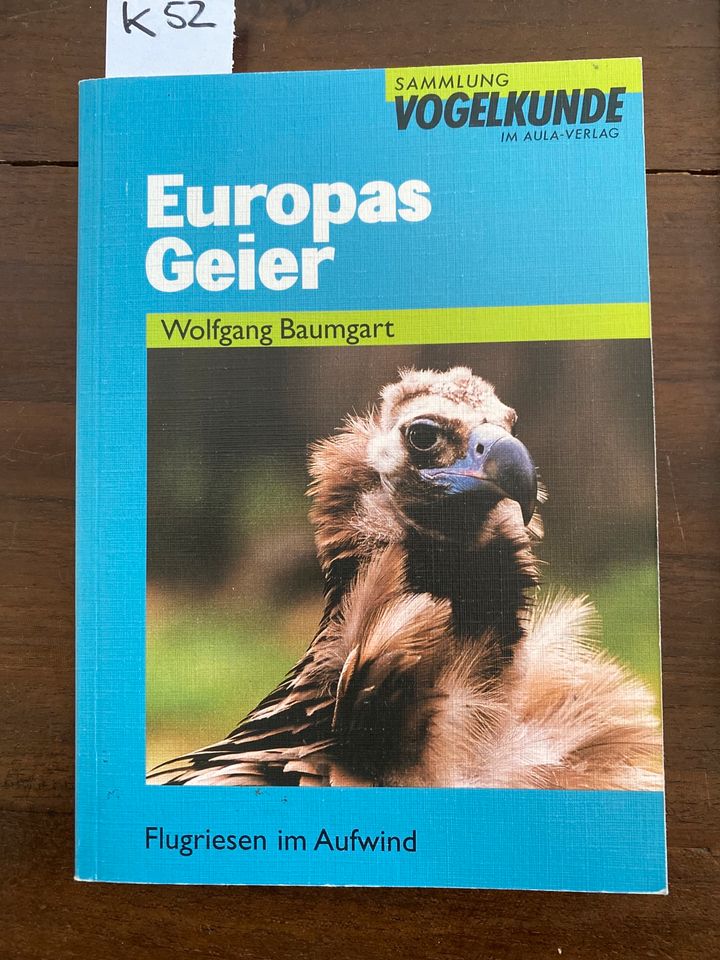 Europas Geier,Der Turmfalke in Vettweiß