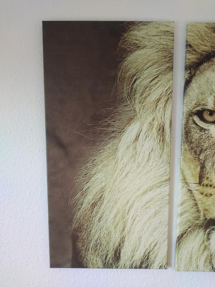 Wandbild Löwe Löwenkopf Leinwand dreiteilig Triptychon in Lilienthal