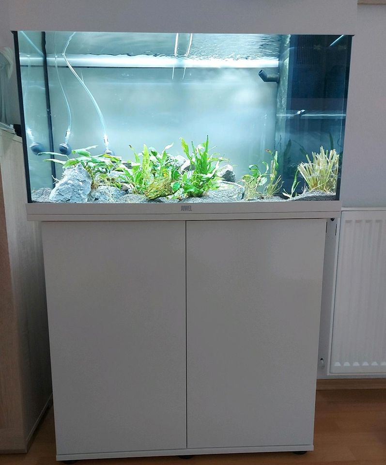 Angebot! Aquarium Juwel Rio 125 in Gaildorf