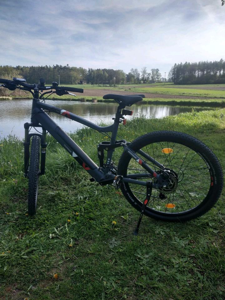 E-Bike Telefunken M935 fully wie neu in Roth