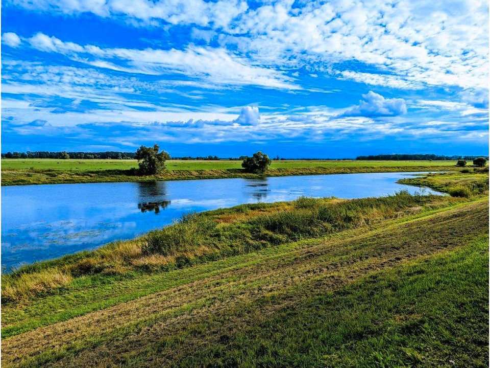 Uferfläche am Bleddiner Riss Grundstück am See Angelgewässer in Kemberg