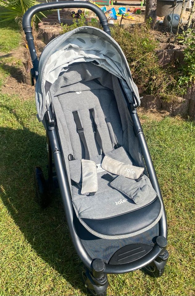 Joie Mytrax Grey Flower Sonderedition Kinderwagen Kinder Buggy in Buchholz in der Nordheide