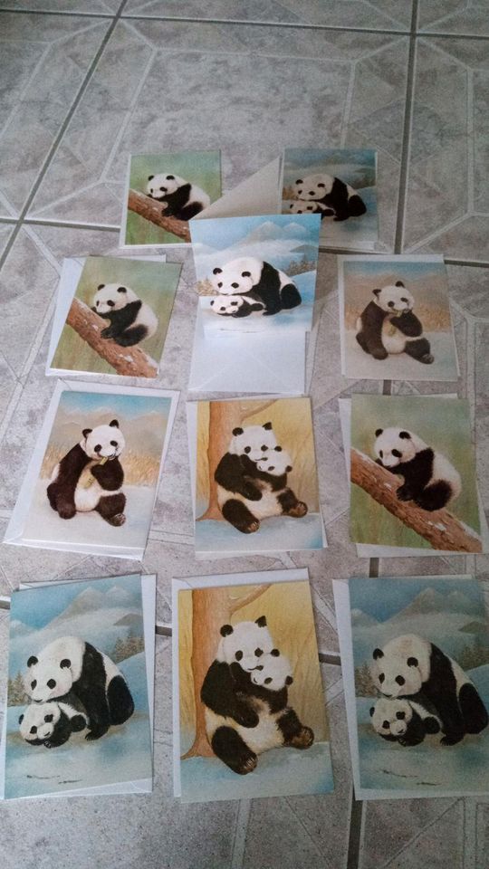 Karten Klappkarten mit Umschlag Panda Bär Blanco 11 Stück in Kummerfeld