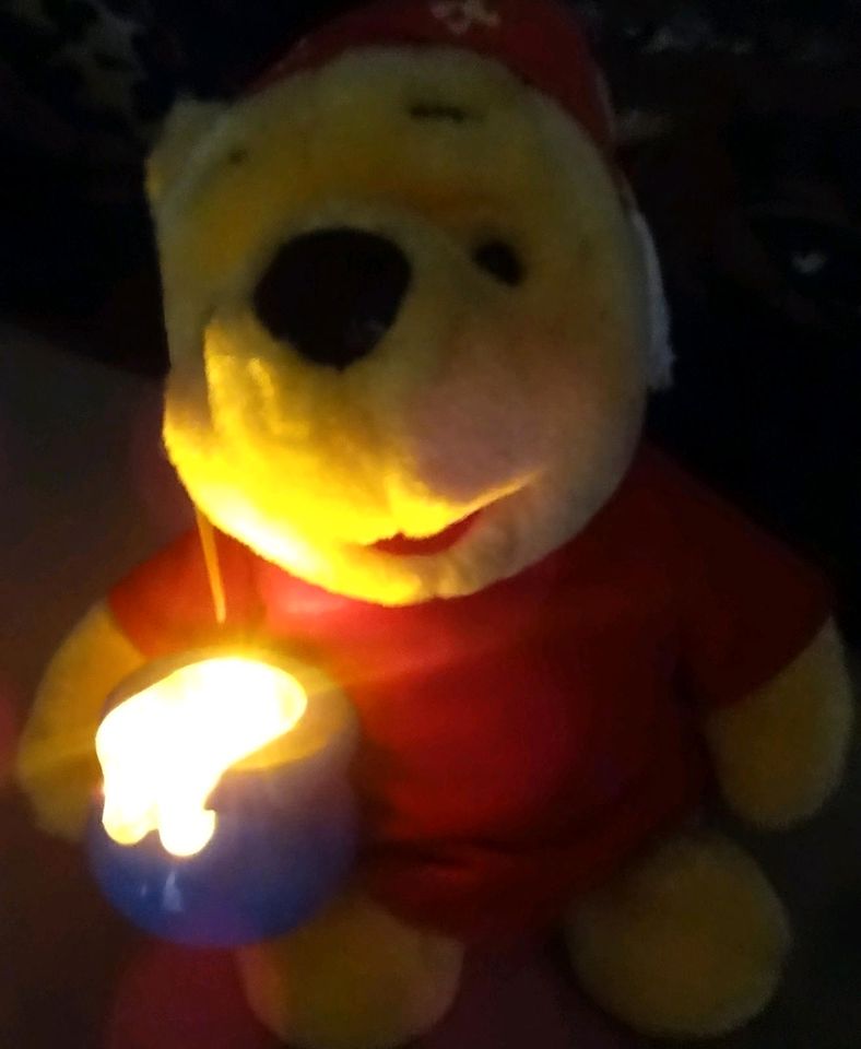 MATTEL " Winnie Pooh" Nachtlicht Kuscheltier RARITÄT 1998 in Althüttendorf