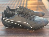 Fußballschuhe Puma Größe 45 Brandenburg - Neuzelle Vorschau