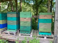 Bienenvolk, Ableger DN Niedersachsen - Liebenburg Vorschau