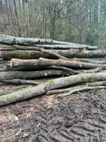 Stammholz Polterholz Buche Hartholz Baden-Württemberg - Heidenheim an der Brenz Vorschau