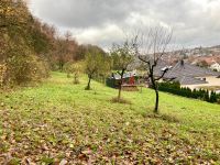 Grundstück, Wiese, Streuobstwiese in Eisingen zu verpachten Baden-Württemberg - Eisingen Vorschau