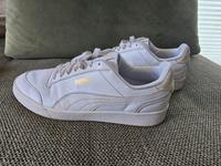Puma Sneaker Gr  44.5 Hamburg-Nord - Hamburg Alsterdorf  Vorschau