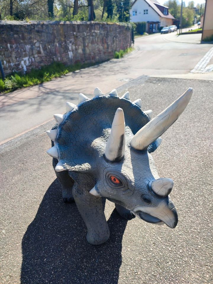 Triceratops-Saurier Neu Ausstellungsstück Neu incl. Versand in Wimmelburg