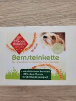 Bernsteinkette für Hunde Nordrhein-Westfalen - Wassenberg Vorschau