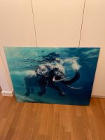Glass Bild “Diving Elephant” Hessen - Oberursel (Taunus) Vorschau