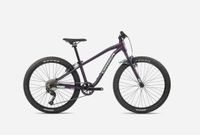 Orbea MX 24 Dirt Kinderfahrrad - UVP 459,00€ / -10 % Kr. Altötting - Winhöring Vorschau