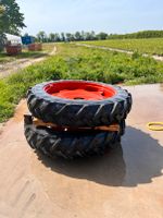 Continental Fendt GT 13.6 R 48 Baden-Württemberg - Durmersheim Vorschau