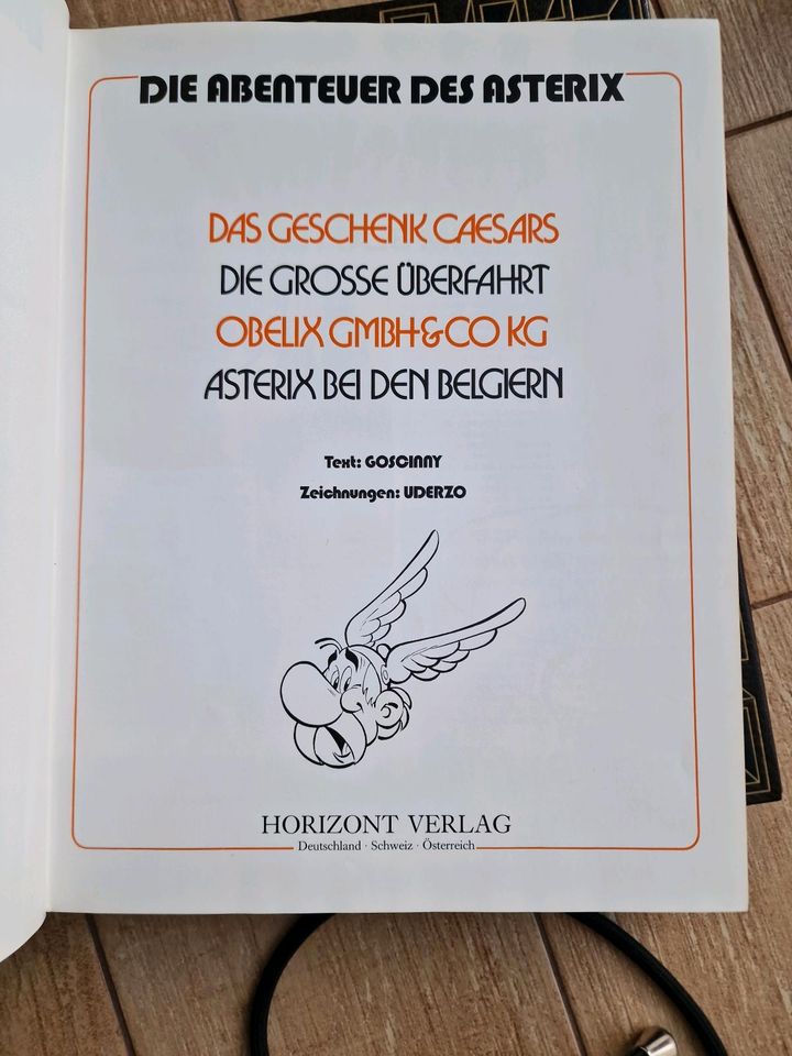 Asterix Ledereinband,Goscinny,Uderzo,Sammlerstücke in Berlin