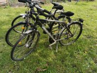 3x Fahrräder Reparatur bedürftig Nordrhein-Westfalen - Hamm Vorschau
