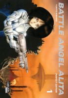 Ich SUCHE: Battle Angel Alita Manga Perfect Edition Komplett Nordrhein-Westfalen - Swisttal Vorschau