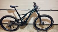 Specialized LEVO COMP 29 NB OAK GREEN MET/Größe XL Baden-Württemberg - Baltmannsweiler Vorschau