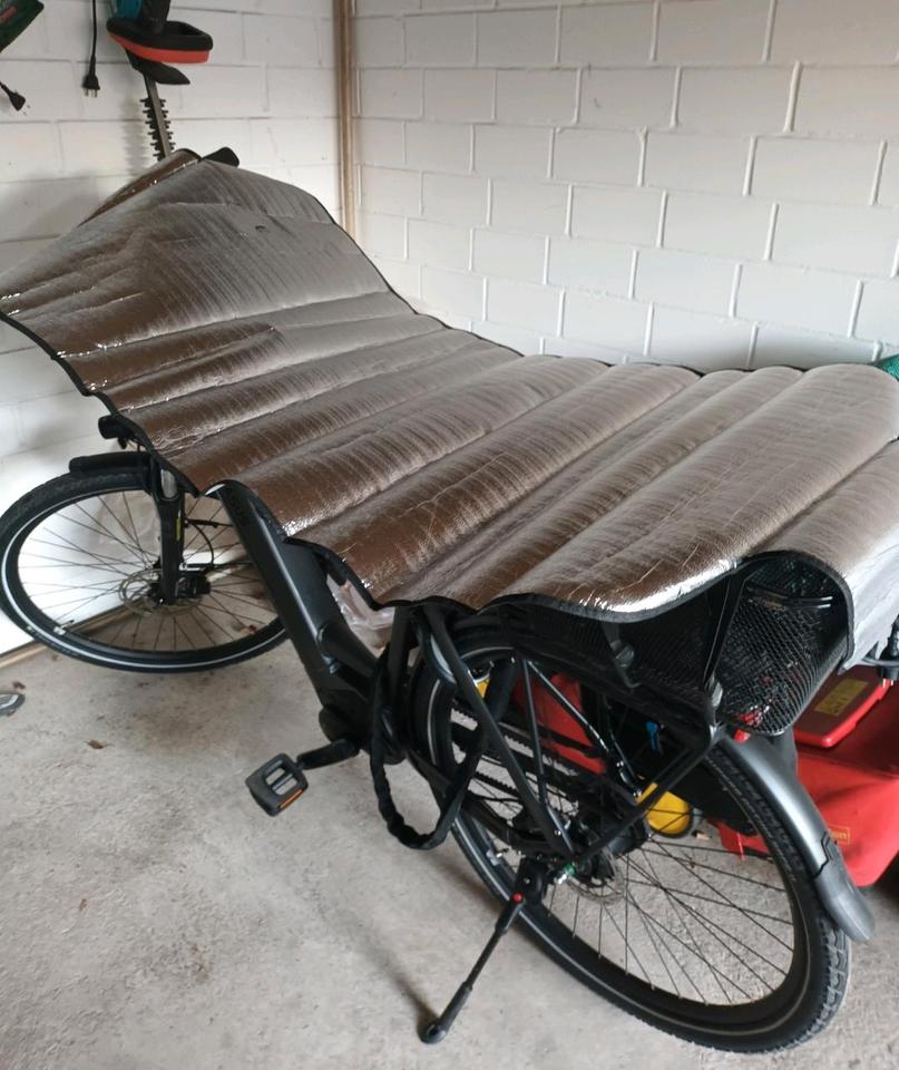 E-Bike Pegasus RH50cm, 28Zoll, inkl. Schloss,Tasche,Spiegel  etc. in Diepholz