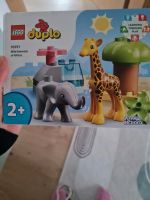 Lego Duplo Wild Animals NEU Niedersachsen - Schöningen Vorschau