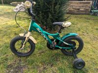 Kinderfahrrad S'cool XXlite 12 Zoll olive/camouflage Niedersachsen - Winsen (Aller) Vorschau