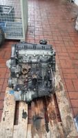 VW Passat 3BG 1,9l TDI AVF-Motor 130PS - TR_260 läuft gut - guter Bochum - Bochum-Wattenscheid Vorschau