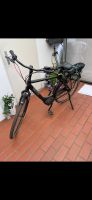 Gazelle Paris E-Bike Nordrhein-Westfalen - Krefeld Vorschau