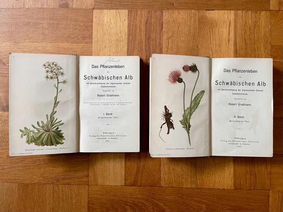 Das Pflanzenleben der Schwäbischen Alb Bd. 1&2, R. Gradmann, 1898 in Calw