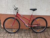 Fahrrad Marke Raleigh gebraucht zu verkaufen Rheinland-Pfalz - Neroth Vorschau