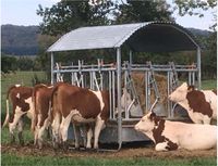 Agritubel Viereckraufe mit Selbstfangfressgittern Hessen - Schotten Vorschau