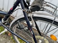 TORREK Damenfahrrad, 28er mit 7Gang Schimanoschaltung Hamburg-Nord - Hamburg Hohenfelde Vorschau