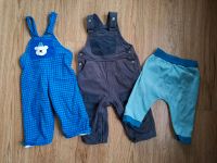 Hosen Baby Jungen Größe 74 Schlupfhose krabbeln Schleswig-Holstein - Lübeck Vorschau