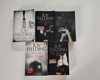Joy Fielding - verschiedene Romane Hessen - Rabenau Vorschau