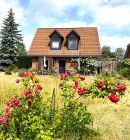 Pinnow - Einfamilienhaus auf traumhaftem Grundstück zu verkaufen Parchim - Landkreis - Pinnow Vorschau