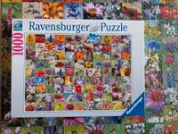 Puzzle 1000  Teile vollständig Blumen Bienen Nordrhein-Westfalen - Blomberg Vorschau