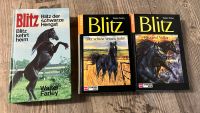 Buchreihe „Blitz“ Band 1-4 Bayern - Marktredwitz Vorschau