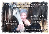 Tierkommunikation Kurs 4/5 Mai 2024 Rastede/Niedersachsen Niedersachsen - Rastede Vorschau