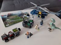 LEGO 75928 Jurassic World, Vollständig & mit Anleitung! Niedersachsen - Syke Vorschau