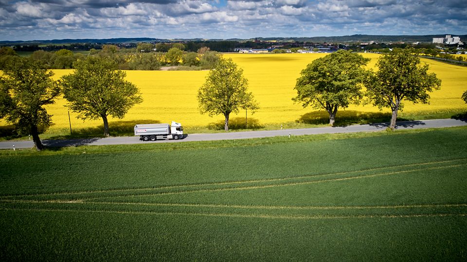 LKW-Fahrer (C/CE) - Sattelfahrzeug (m/w/d) bei REMONDIS in Weil am Rhein